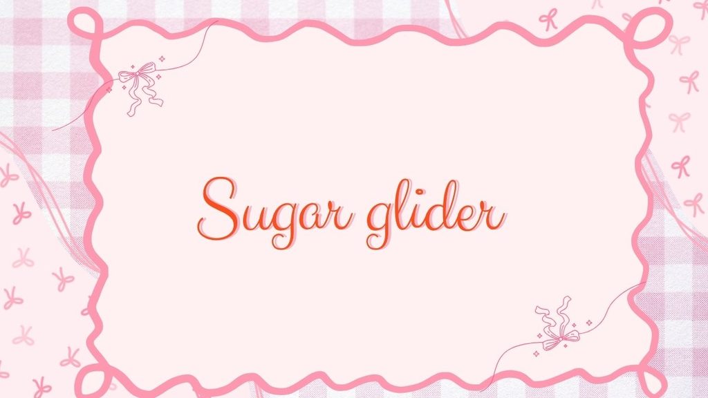 Suger vs Sugar